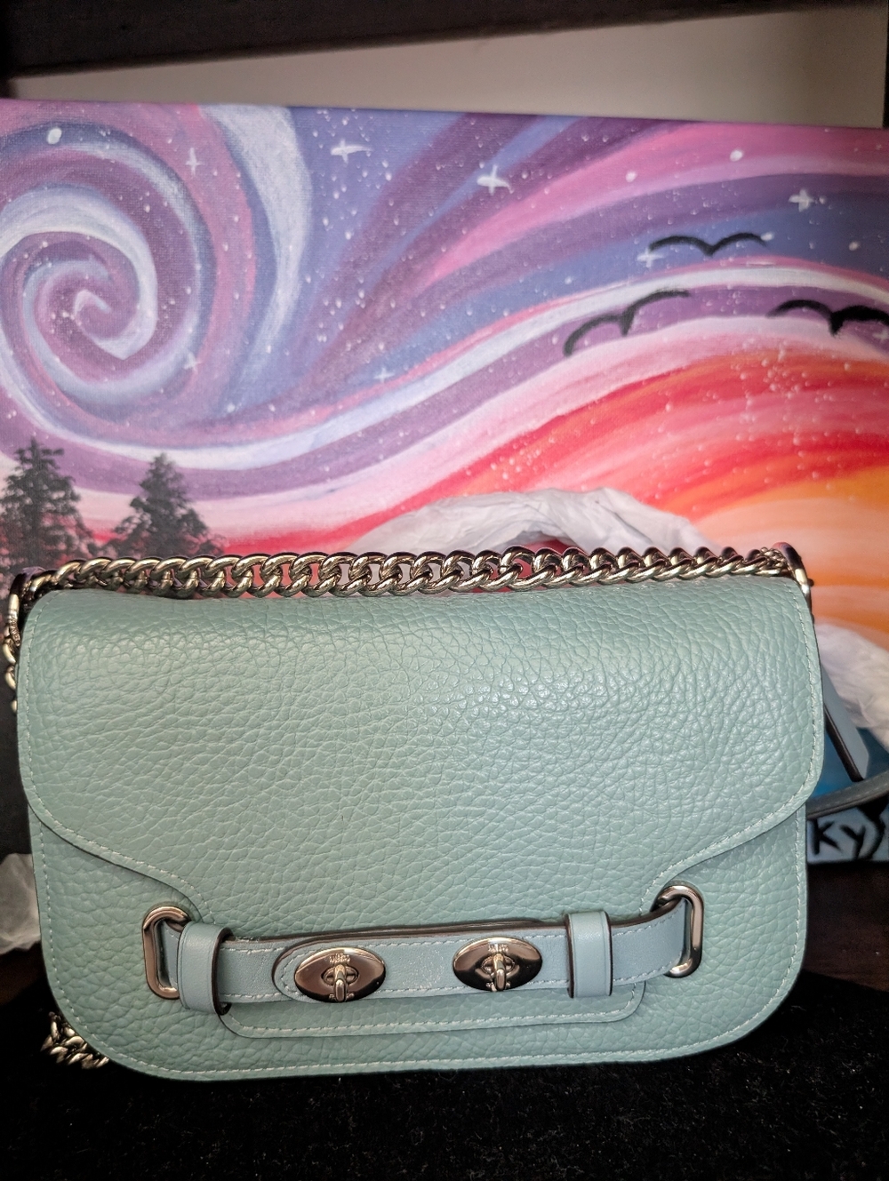NWOT Coach Blake 20 Crossbody - Picture 2 of 7